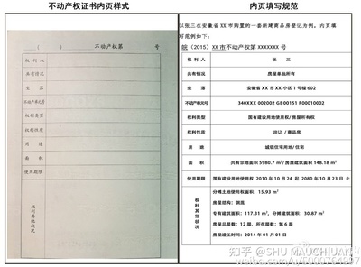 保障期限什么意思