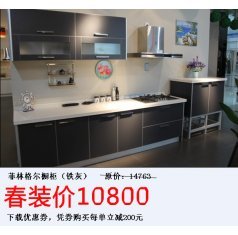 菲林格尔橱柜银川