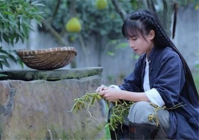 男孩李子什么名字好听