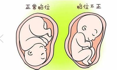 怀孕7个月胎儿有多大