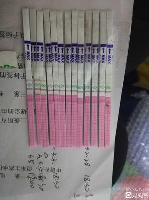 月经多久后是排卵期