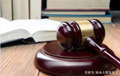 支持起诉原则
