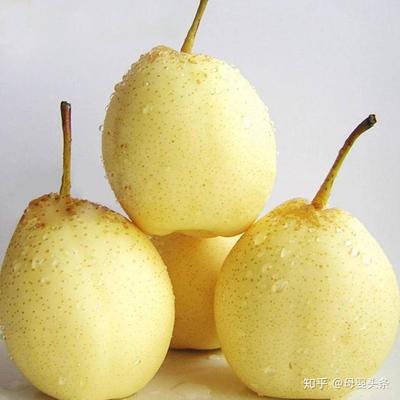 孕妇能不能吃梨