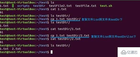 linux cp 隐藏文件