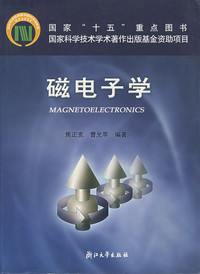 什么叫磁是电子吗