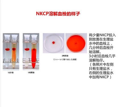 验船师任职单位证明书图片