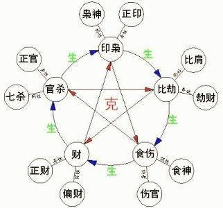 八字看天干还是地支
