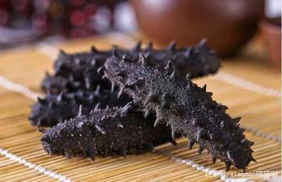 海参的食用制作方法