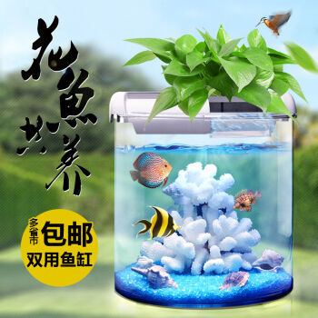 桥西区赵姐水族馆（桥西区赵姐水族馆地址）