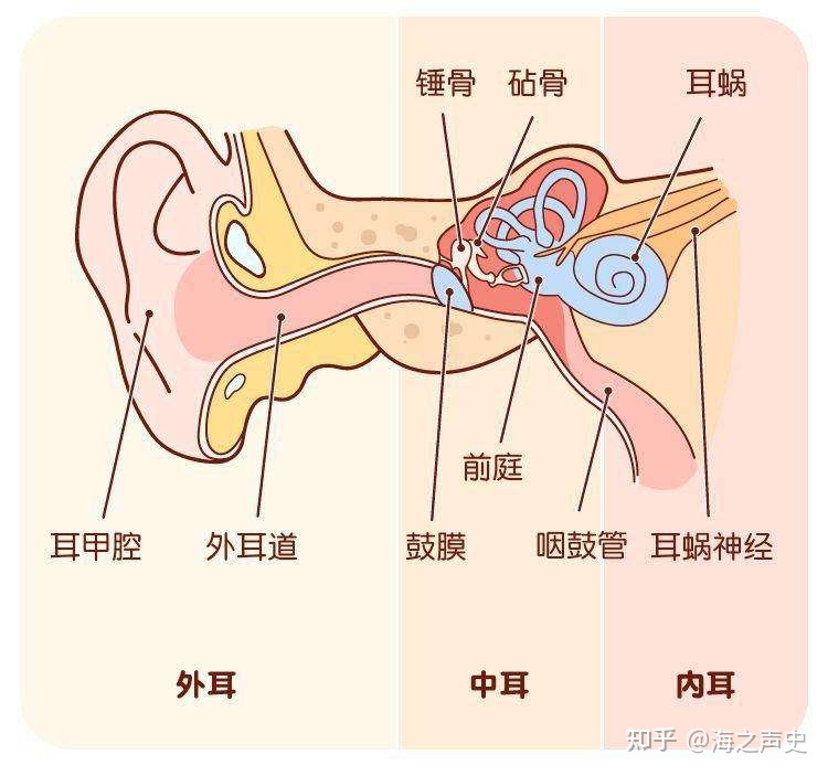 耳朵不通气是怎么回事