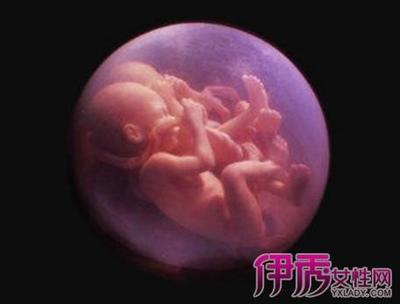 怀孕4个月宝宝多大