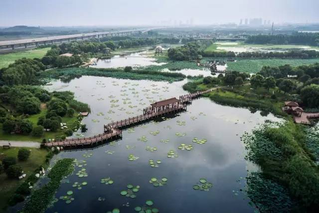 老洪港湿地公园