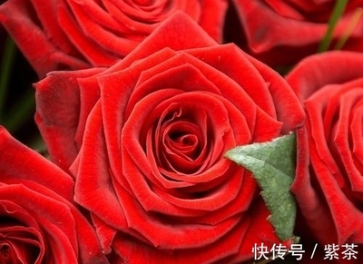 属虎和属羊的合不合财