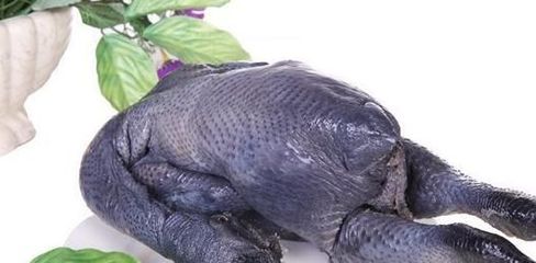 月经期间乌鸡怎么做