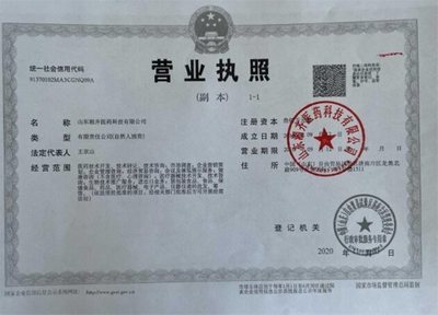 1989蛇五行属什么