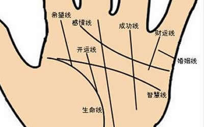 男左手婚姻线图解大全