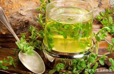 怎样喝绿茶减肥
