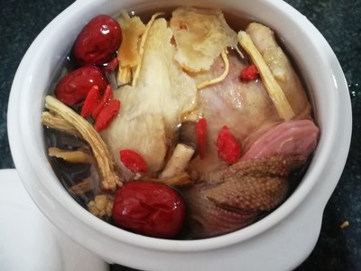炖鸽子汤的做法