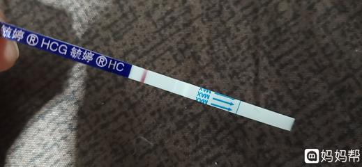 吃了毓婷怀孕了