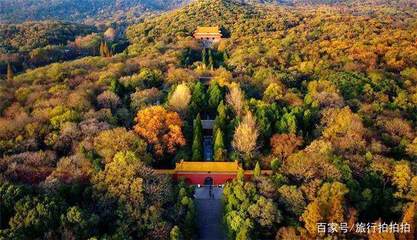 南京紫金山海拔