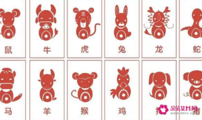 兔相克的生肖