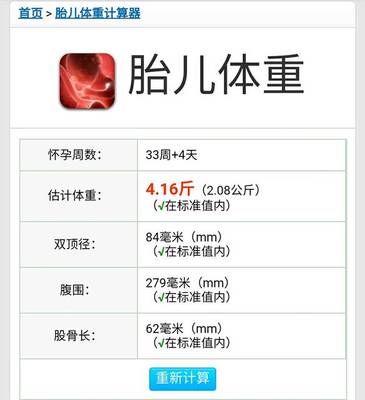 胎儿体重器