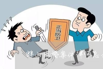 律师调解费用