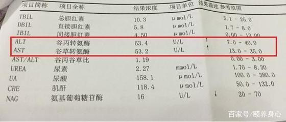 转氨酶指标高多少是肝炎