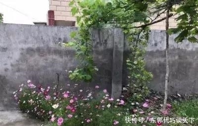 农家小院装修