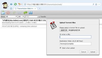 如何查询树莓派IP