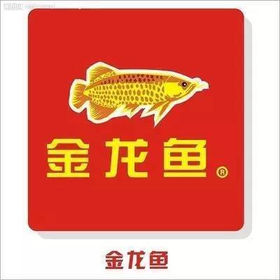 巴卡雷龍魚能吃嗎怎么養(yǎng)(雷龍魚能吃嗎_)