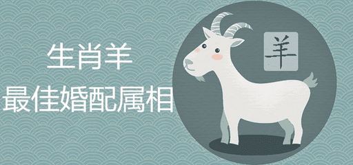 属羊的和什么相克