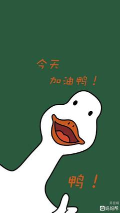 怀孕可以吃鸭子