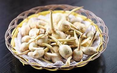 朱砂孕妇可以吃吗