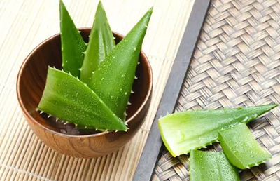 能用芦荟直接涂痘痘吗