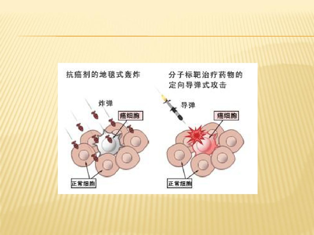 b级验船师怎么升到a级