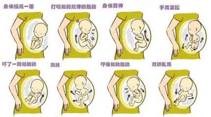怀孕六个月孩子多大