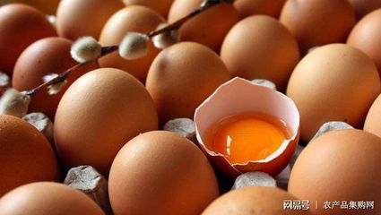 鸡蛋品牌取名字大全集