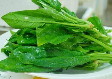 孕妇多吃菠菜好吗