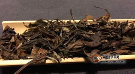 什么样的白茶好