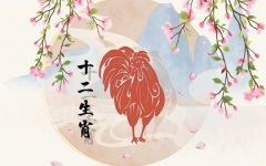 男鸡女蛇属相合吗