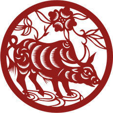 一九七三年属什么生肖
