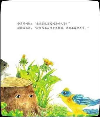 春天怎么找鸟