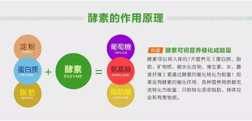 酵素作用与功效是什么