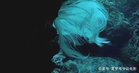 玻璃杯底部数字含义