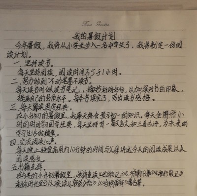 我的读书计划怎么写300字作文