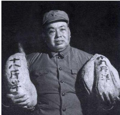 酒姓全国有多少人