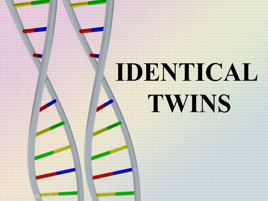 identicaltwins怎么读