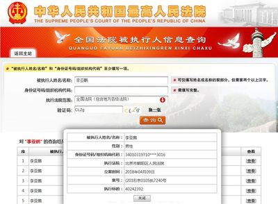 全国执行网信息查询