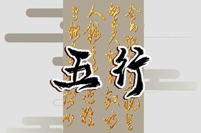 2003年属什么生肖五行